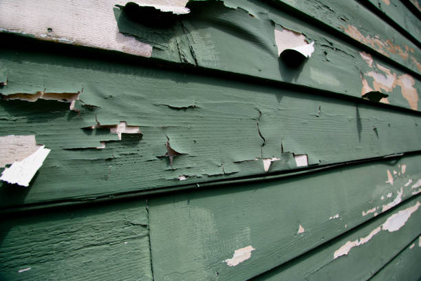 Best Brick Veneer Siding  in Sussex, WI