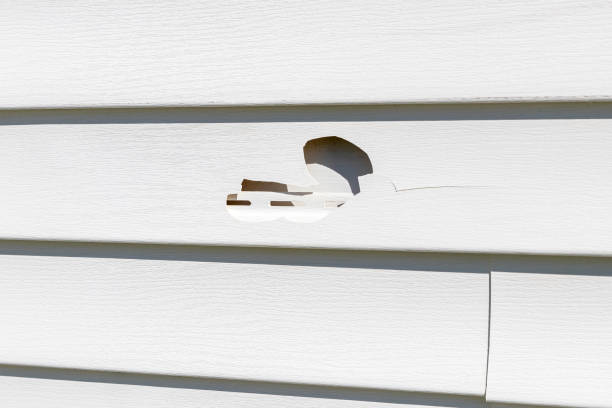Best Insulated Siding Installation  in Sussex, WI