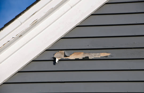Best Fascia and Soffit Installation  in Sussex, WI